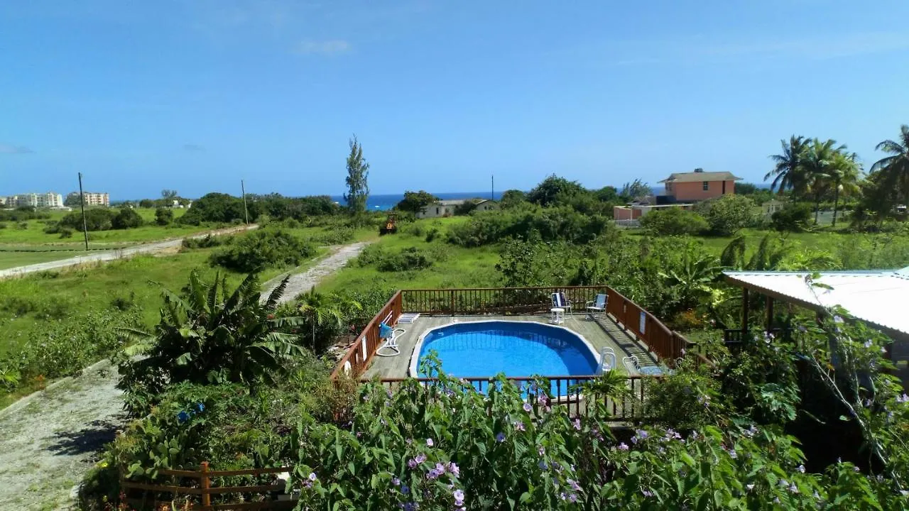 The Pool House Villa Saint Philip