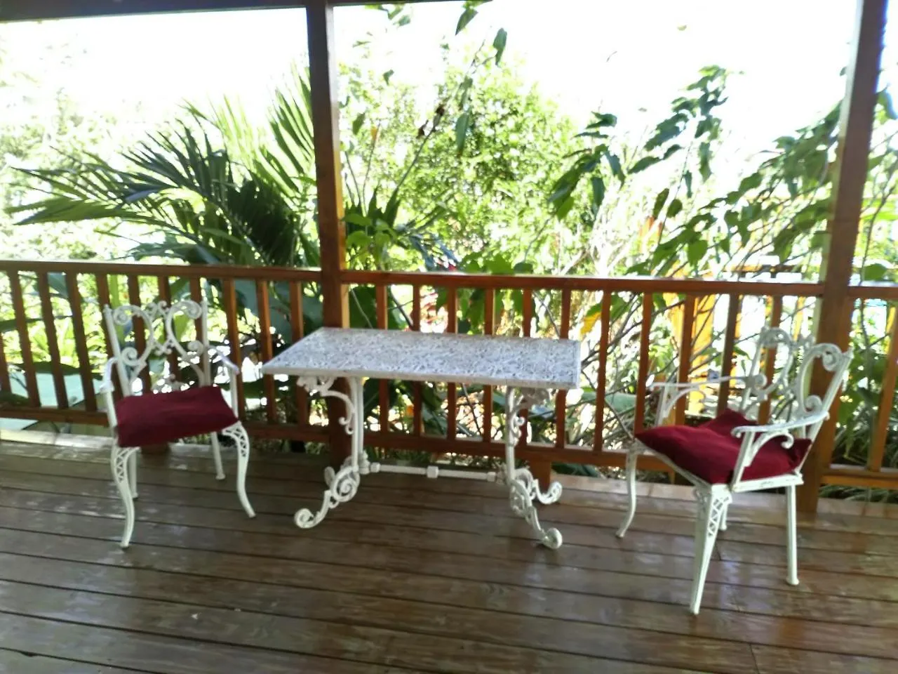 The Pool House Villa Saint Philip Holiday home
