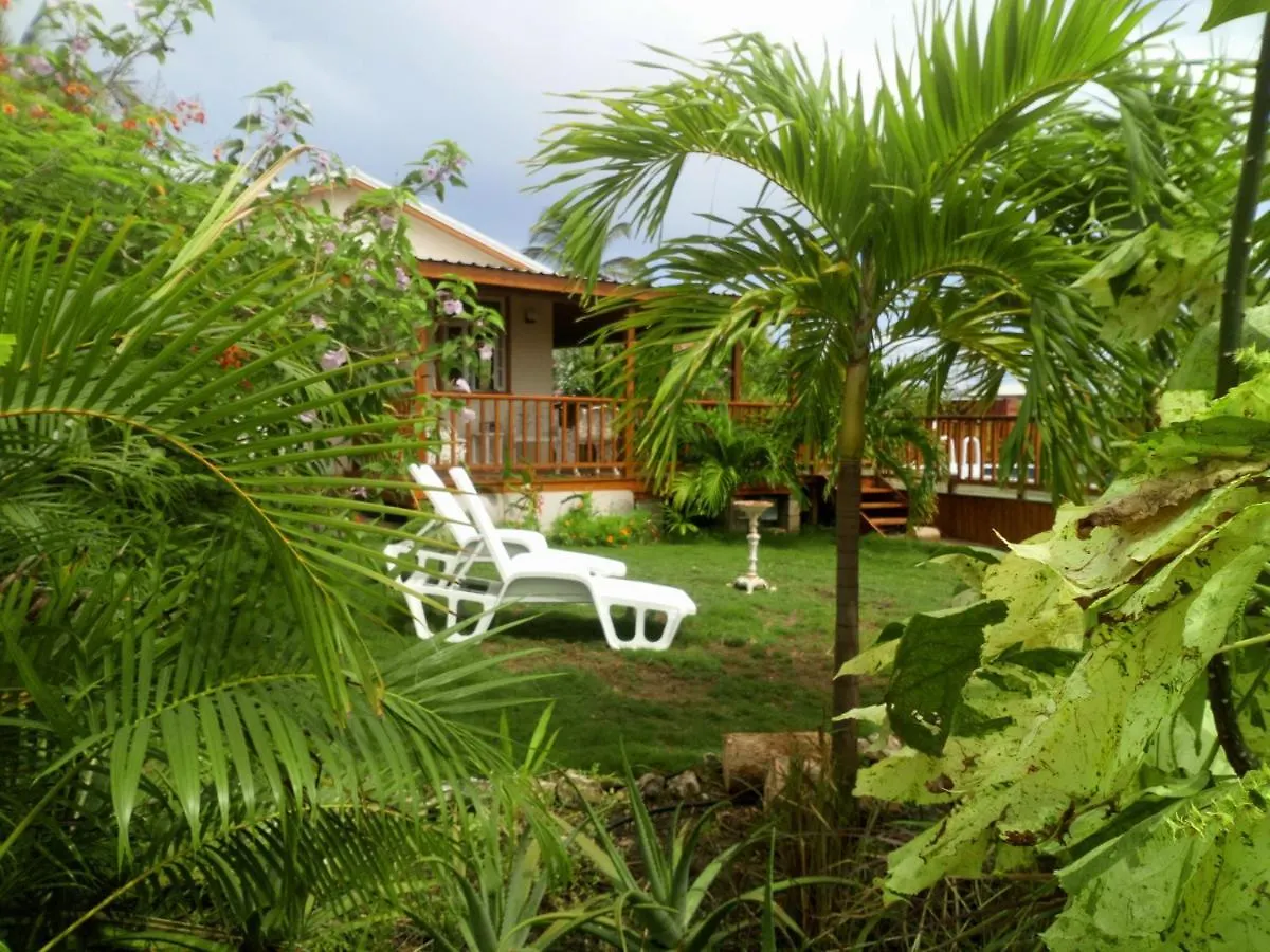 The Pool House Villa Saint Philip Holiday home