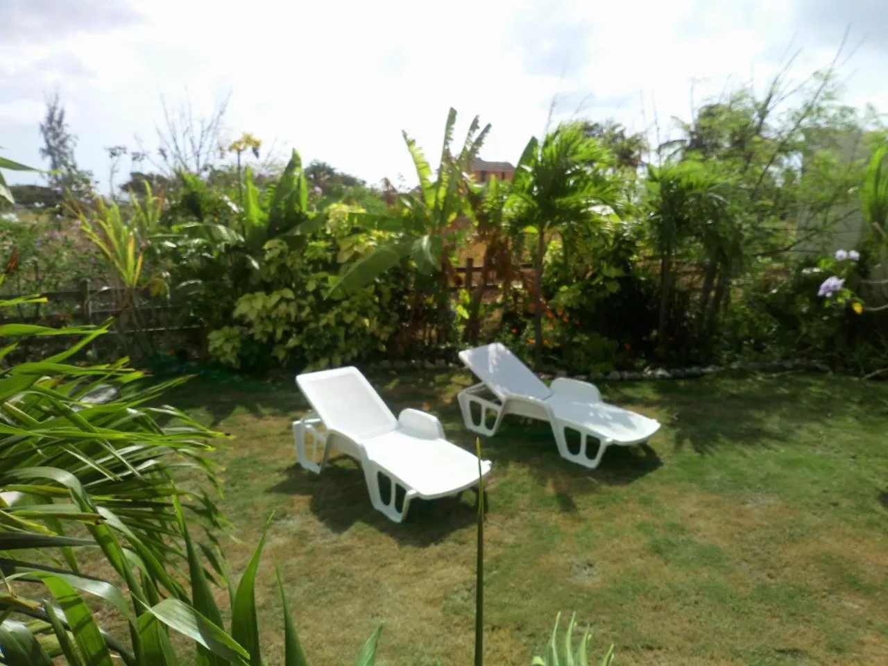 The Pool House Villa Saint Philip 0*,
