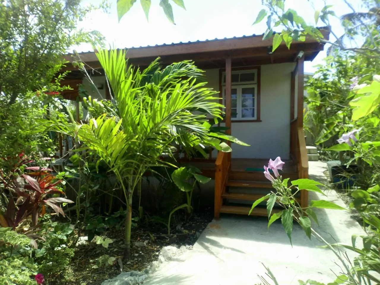 The Pool House Villa Saint Philip Barbados